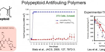 6 polypeptoid antifouling polymers